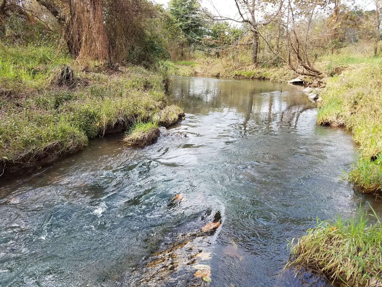 The stream at Stover Mill Farm