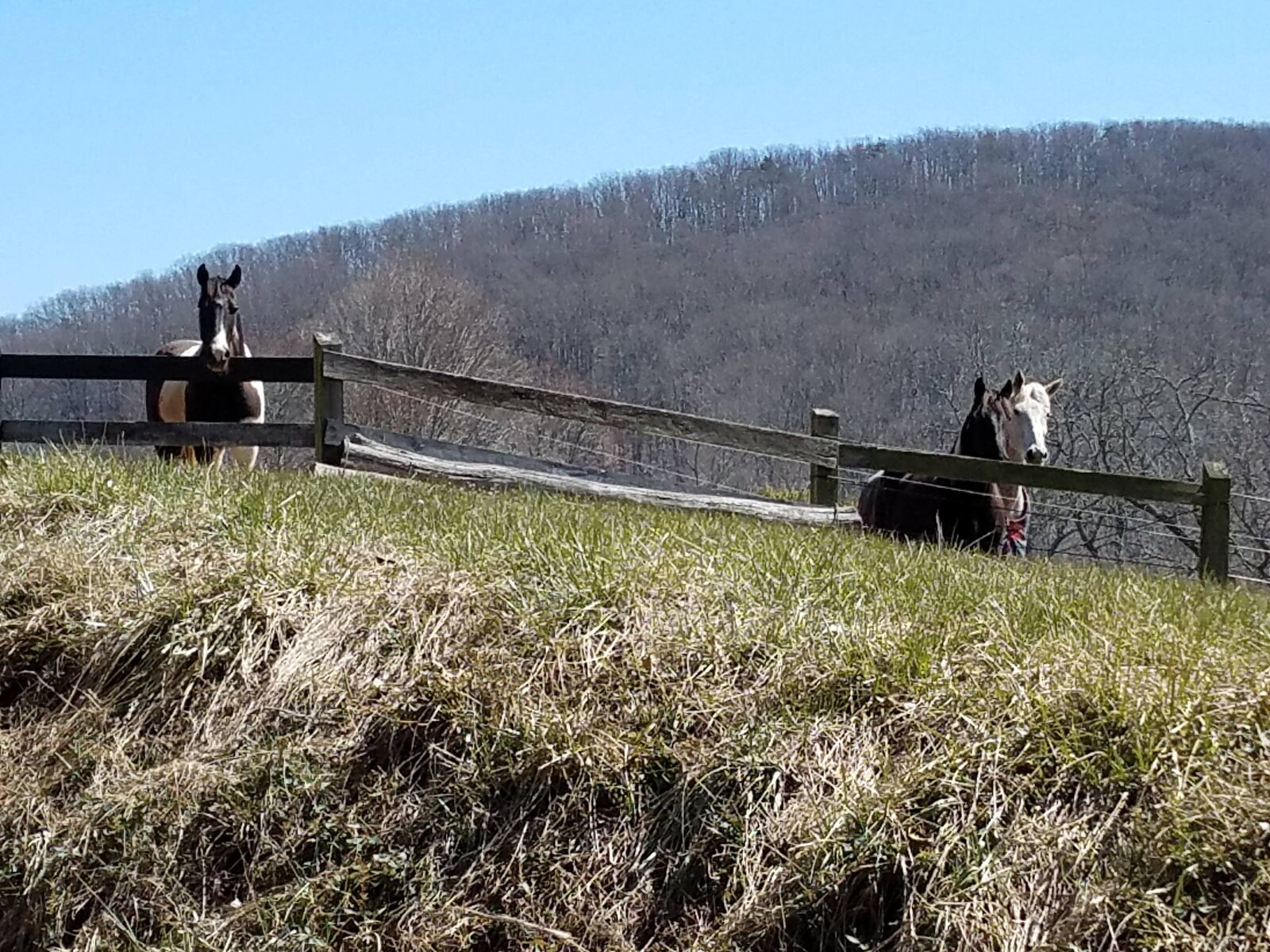 Stover Mill Farm