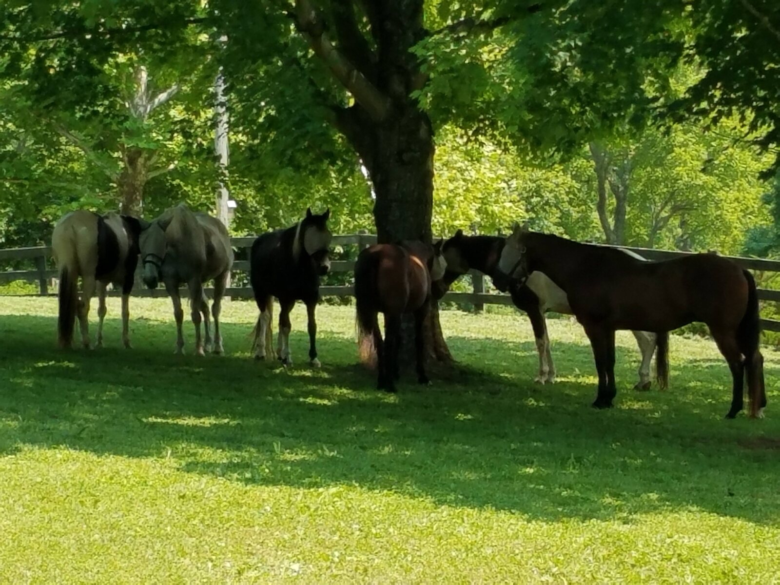 Stover Mill Farm
