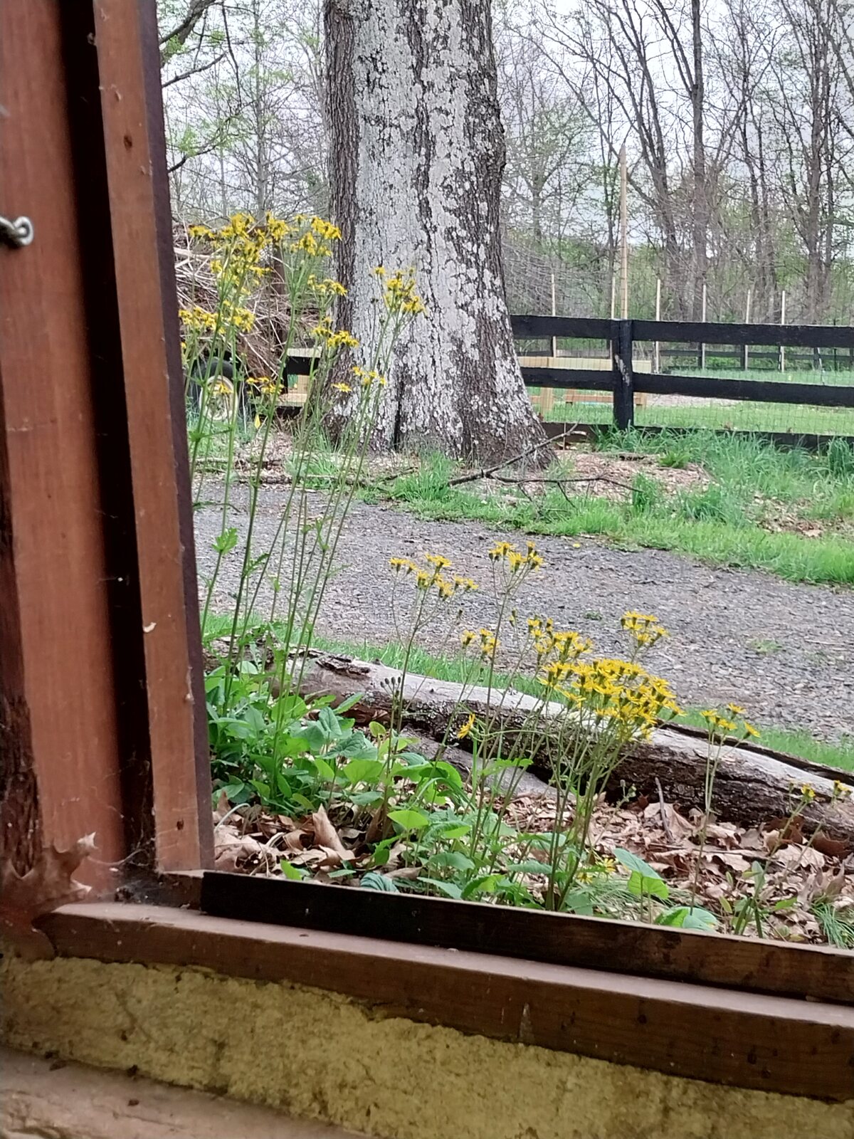 Stover Mill Farm