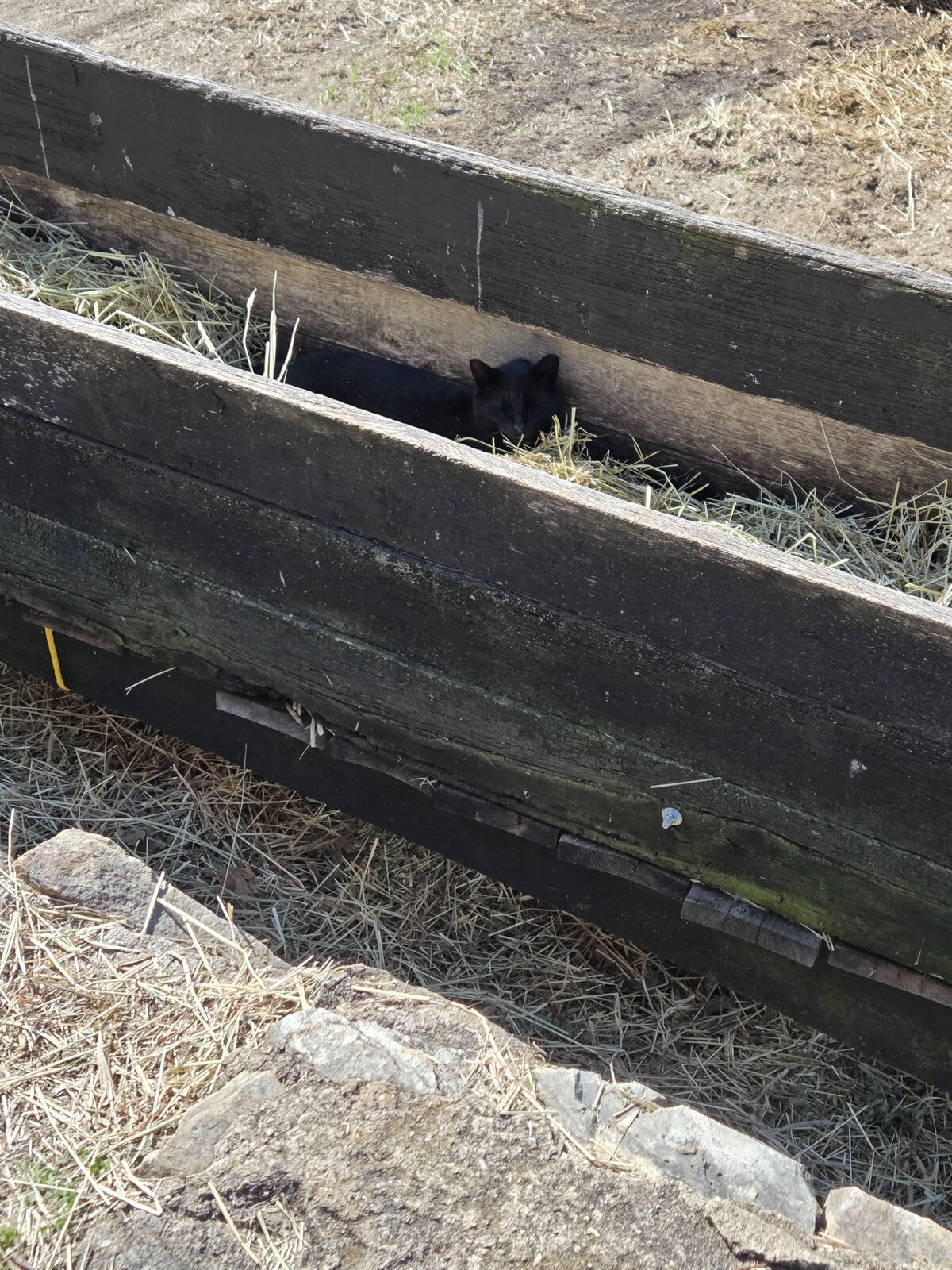 Stover Mill Farm