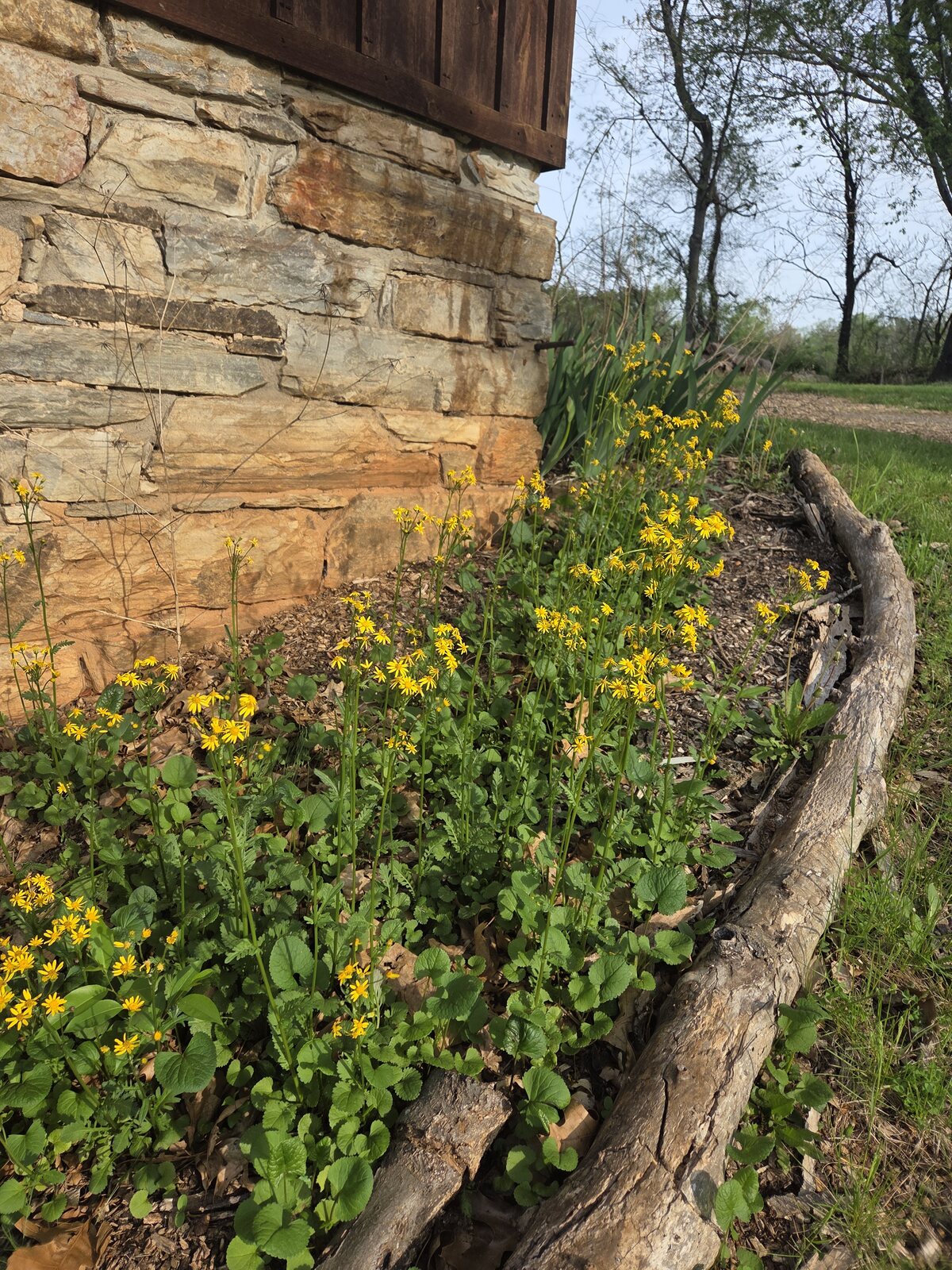 Stover Mill Farm