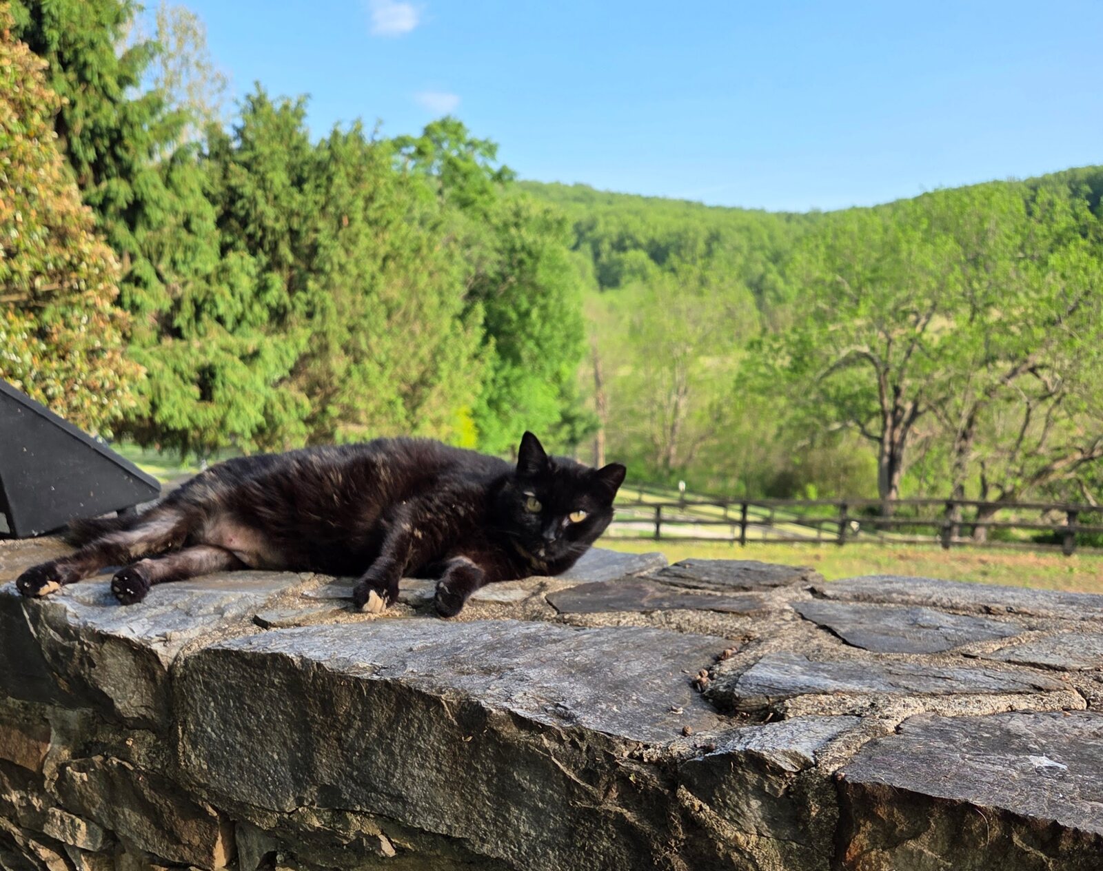 Stover Mill Farm