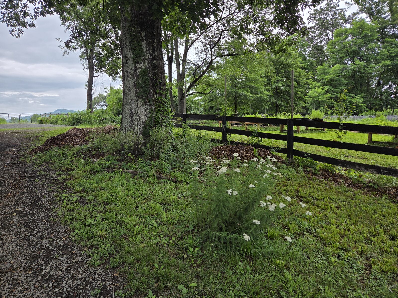 Stover Mill Farm