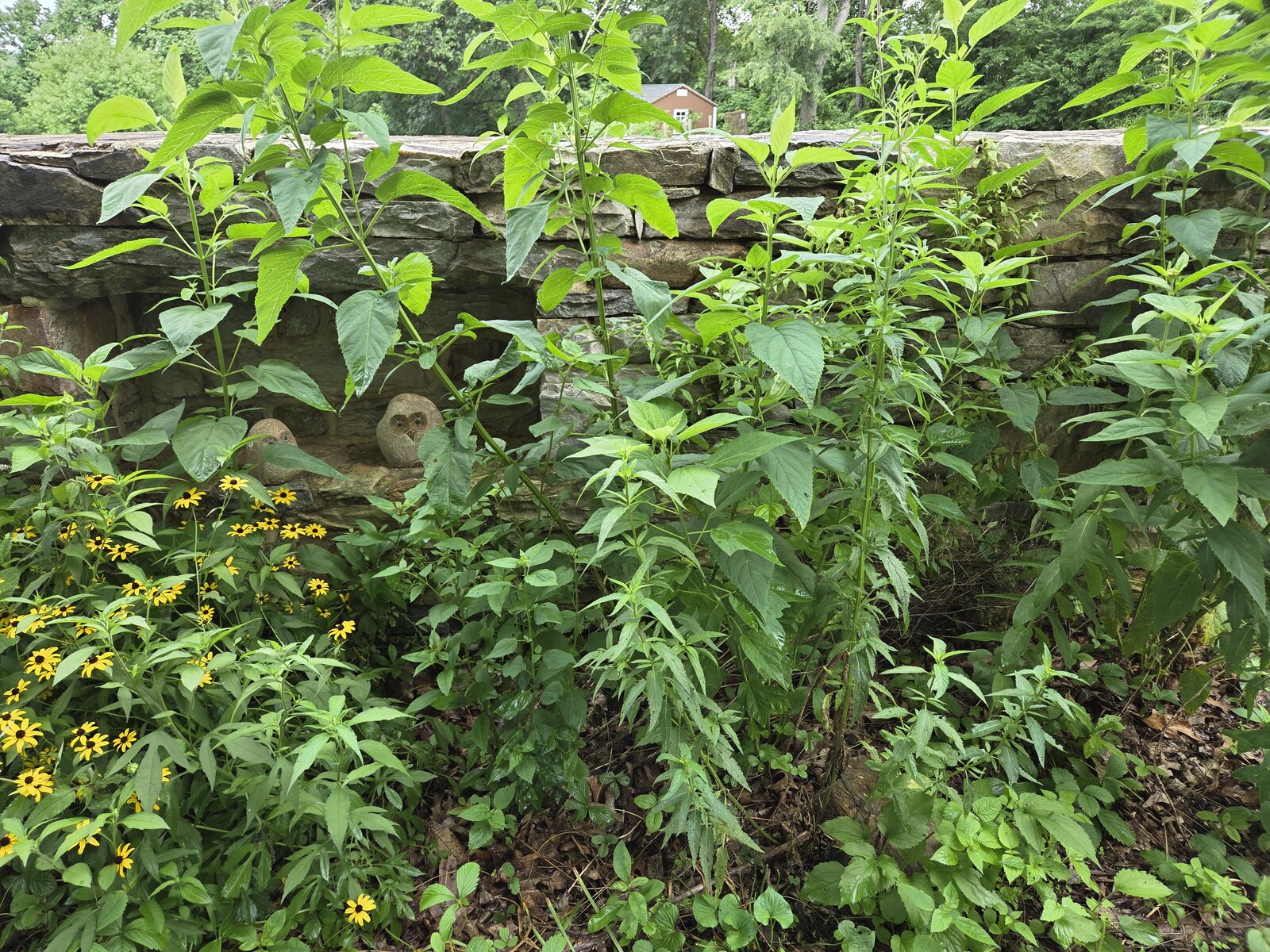 Stover Mill Farm