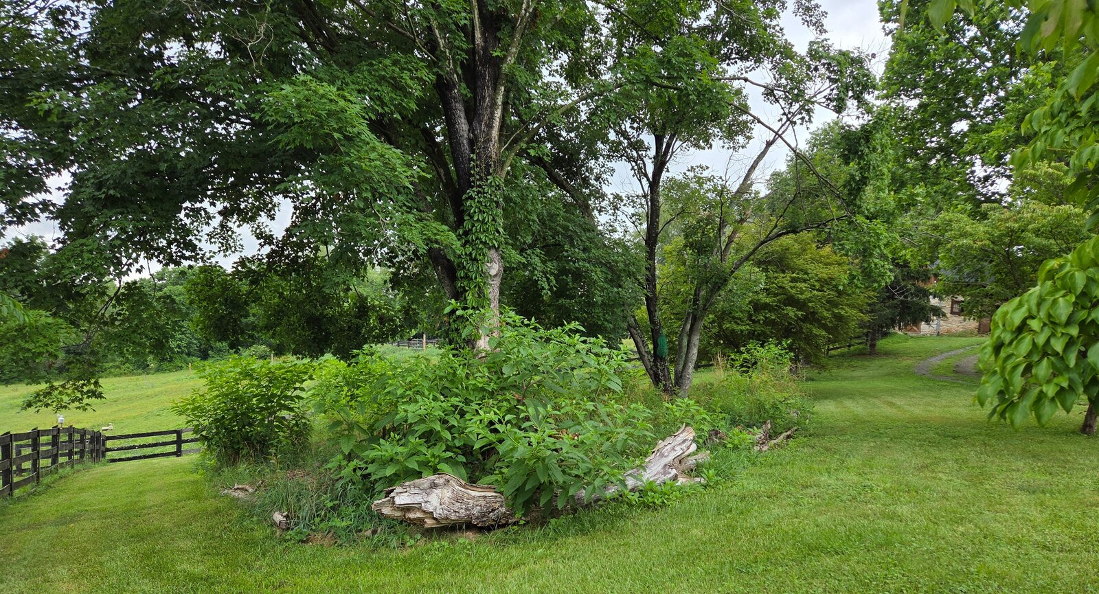 Stover Mill Farm