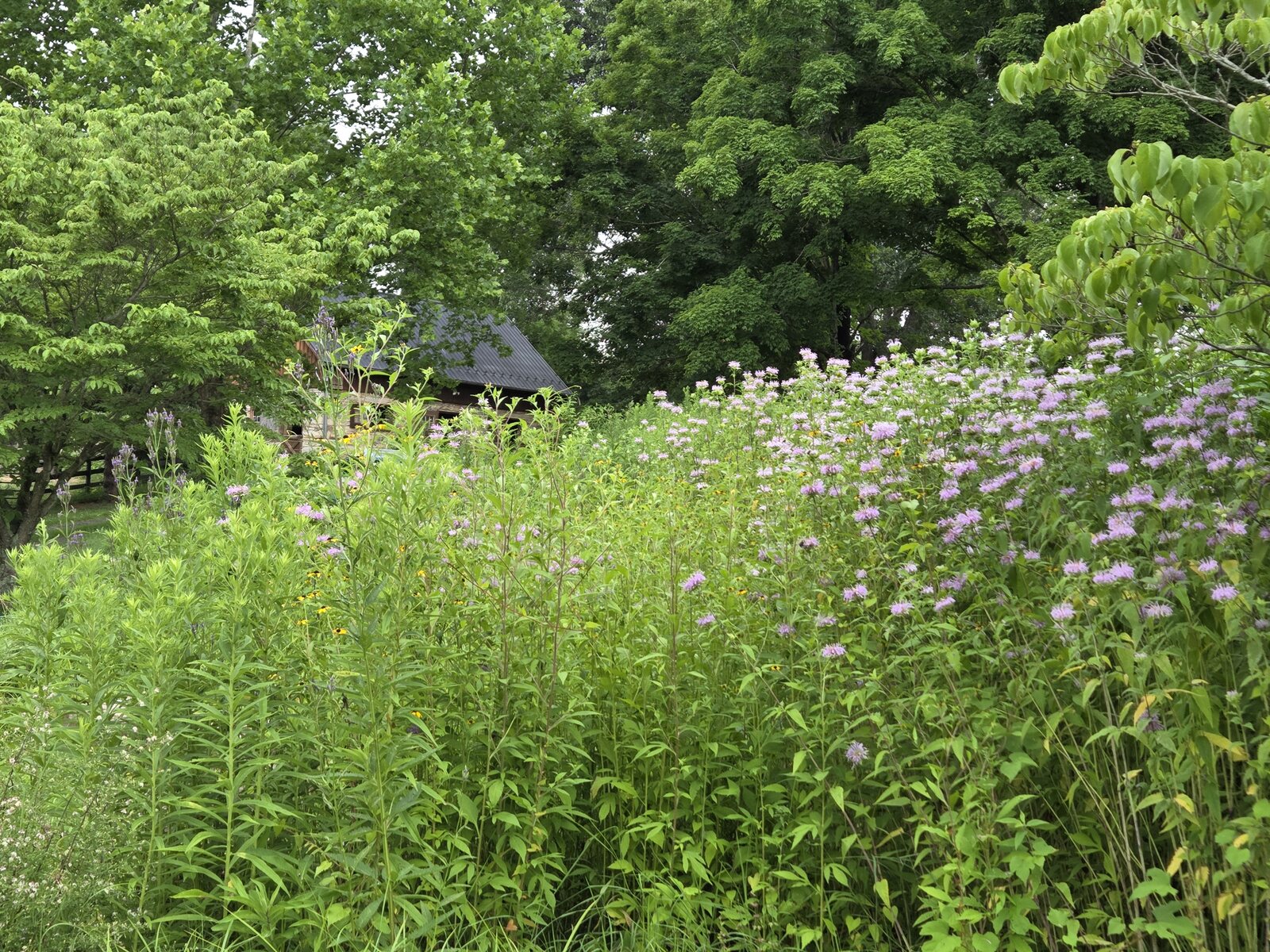 Stover Mill Farm