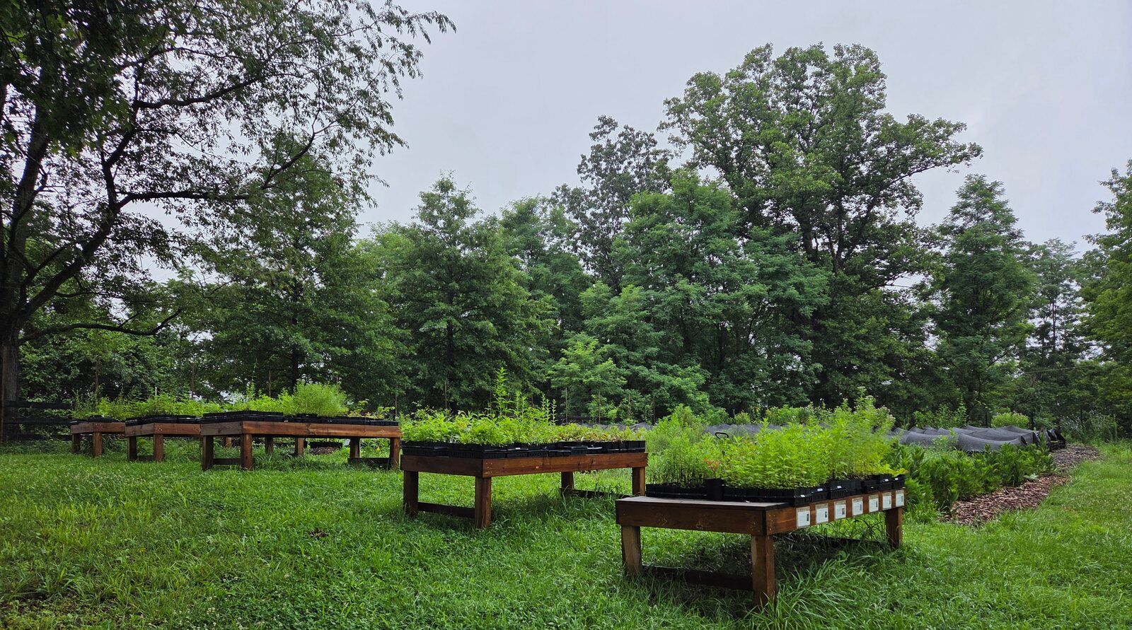 Stover Mill Farm