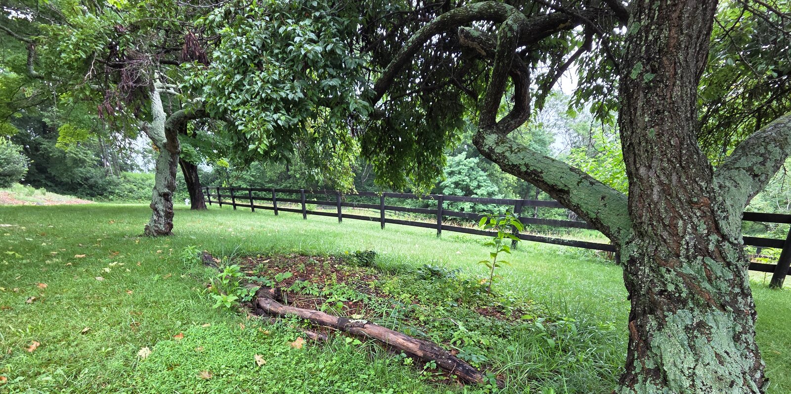 Stover Mill Farm