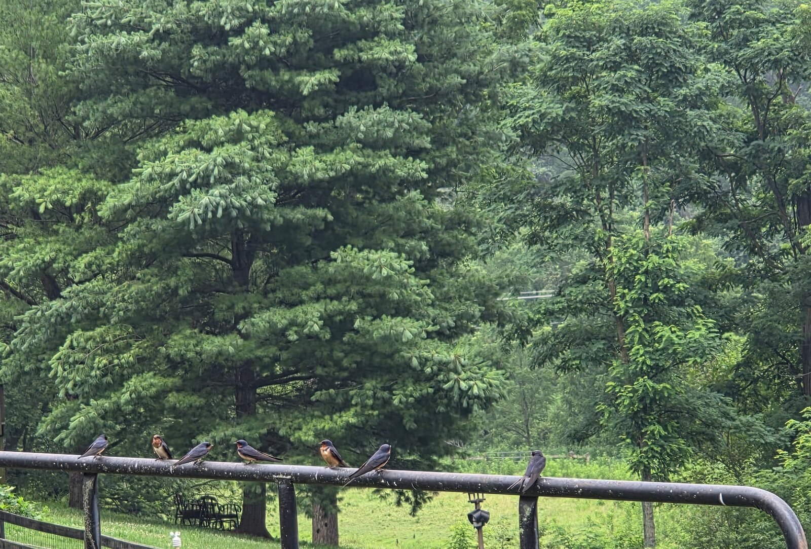 Stover Mill Farm