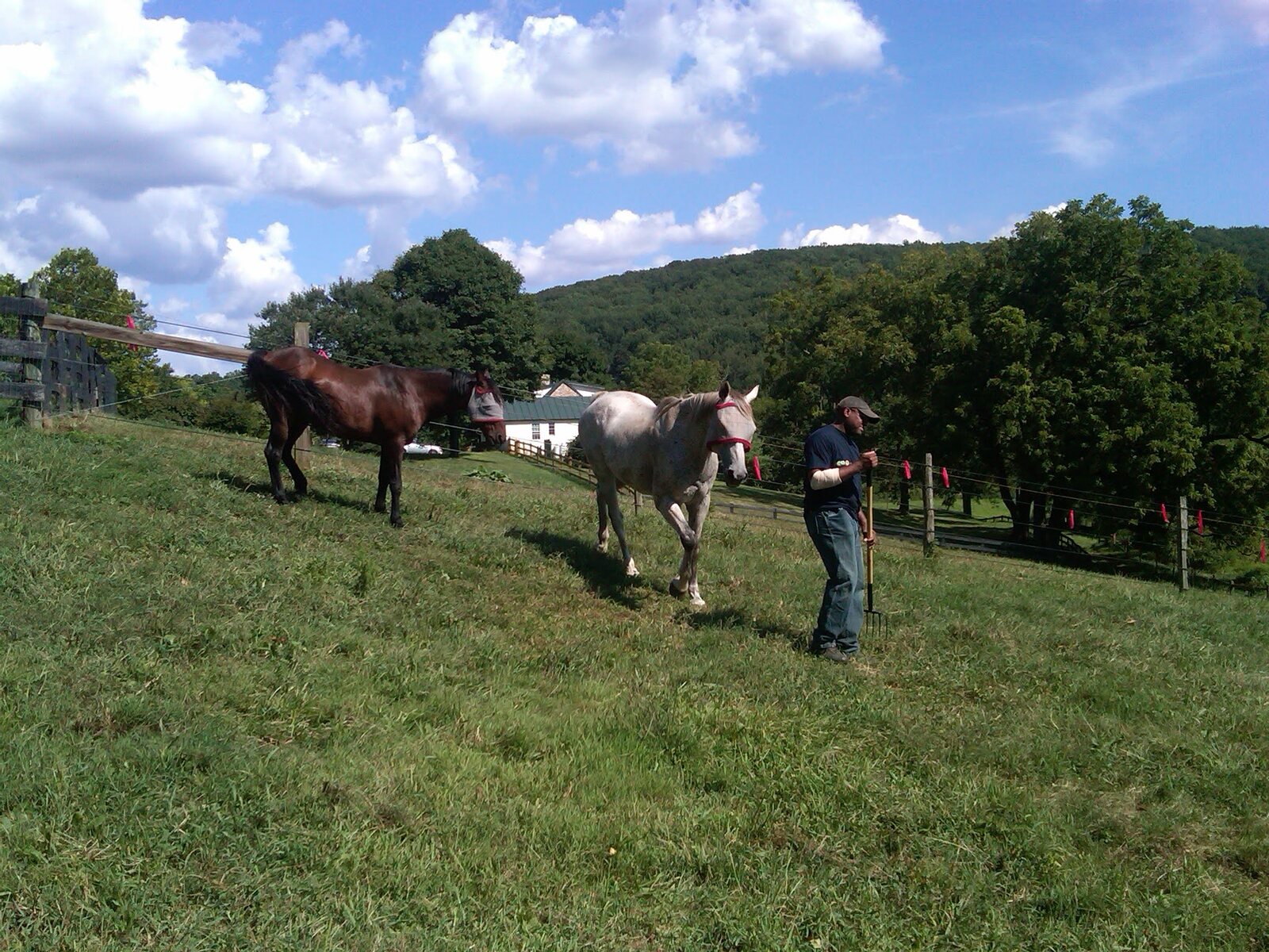 Stover Mill Farm