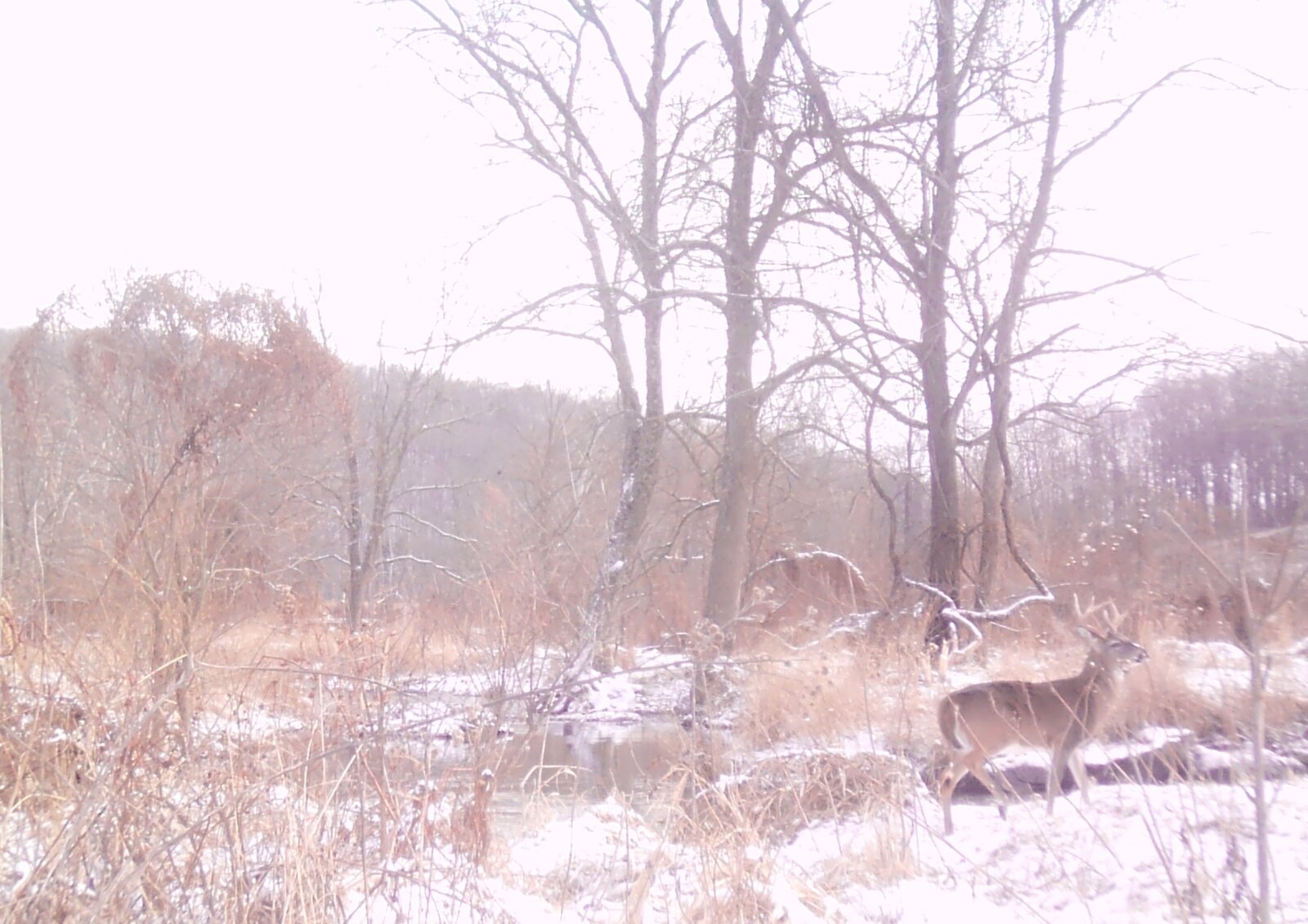 Stover Mill Farm