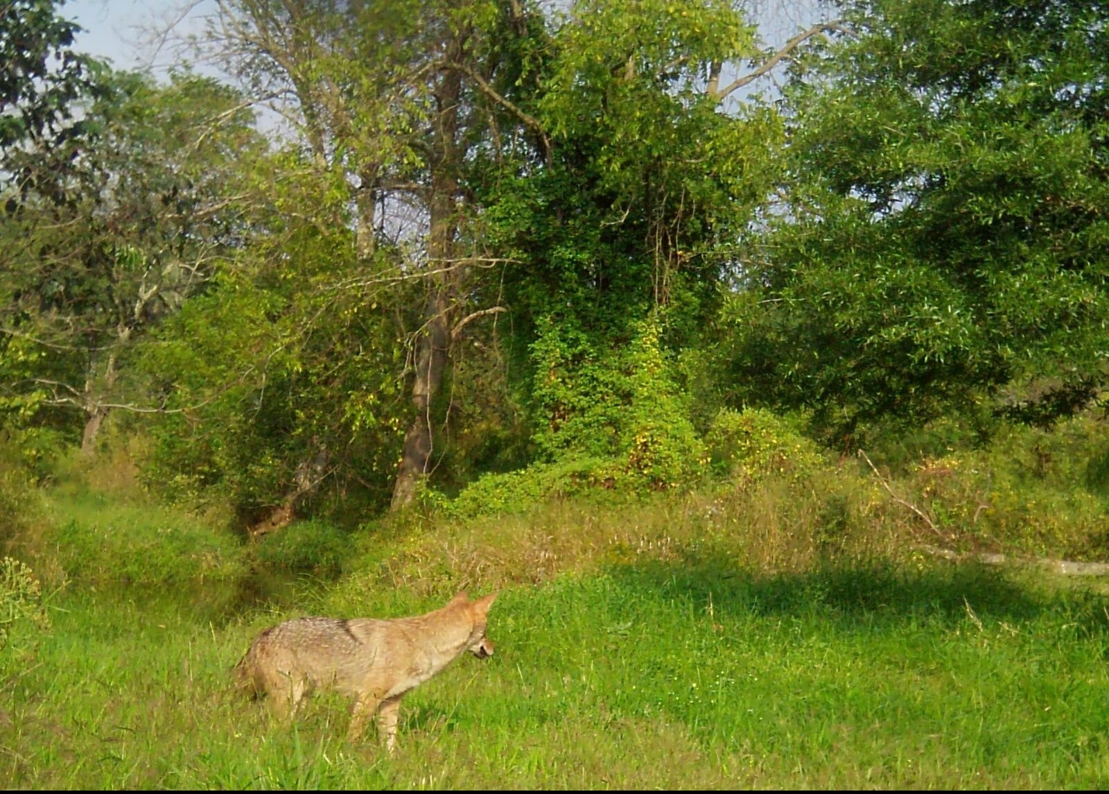 Stover Mill Farm