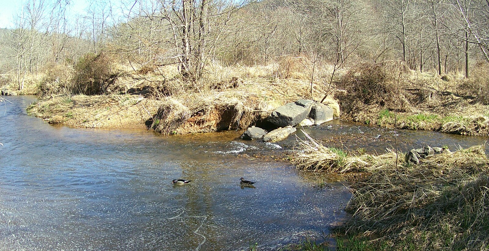 Stover Mill Farm
