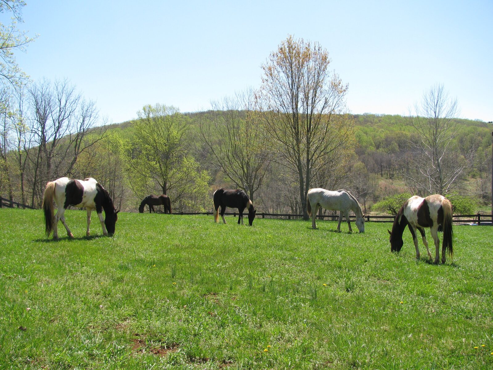 Stover Mill Farm