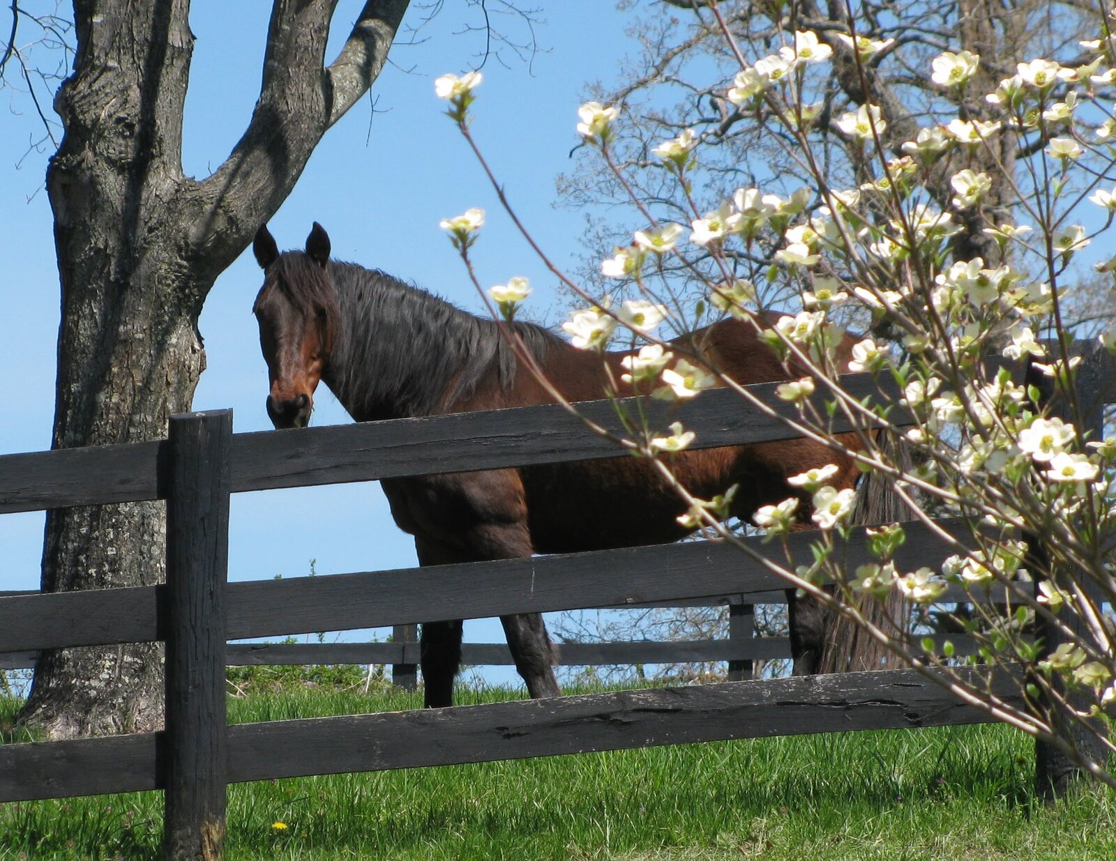 Stover Mill Farm