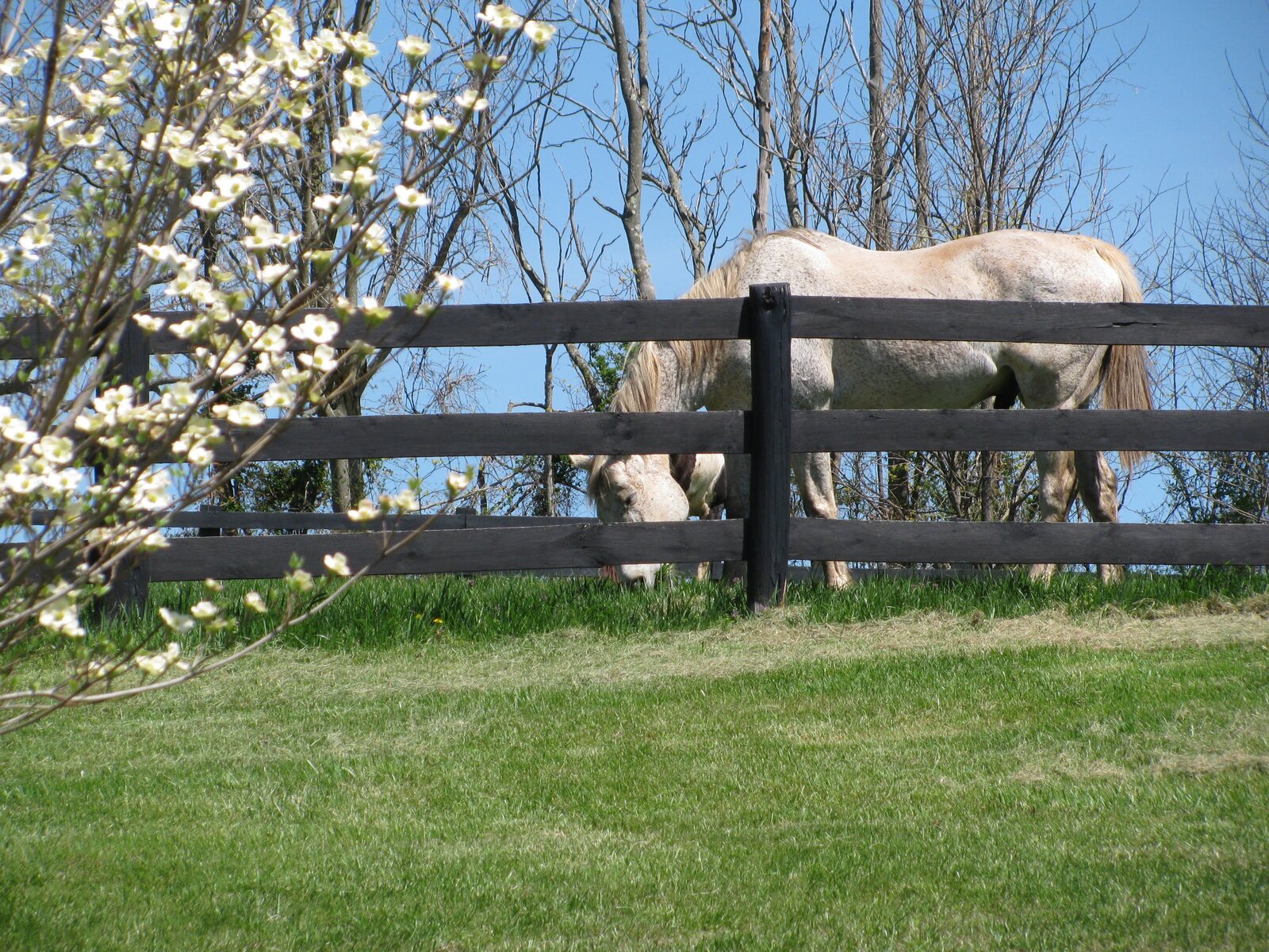 Stover Mill Farm