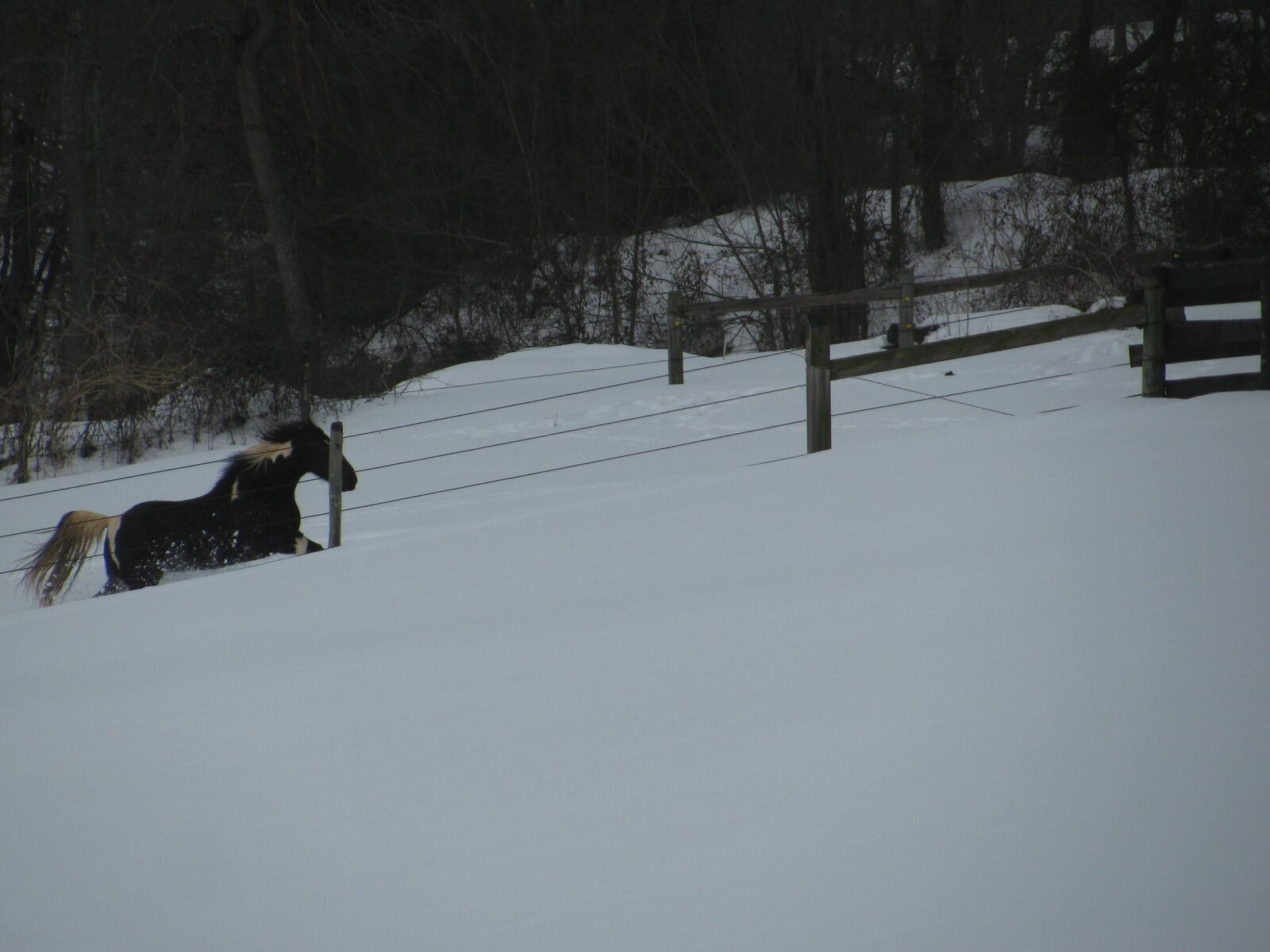 Stover Mill Farm