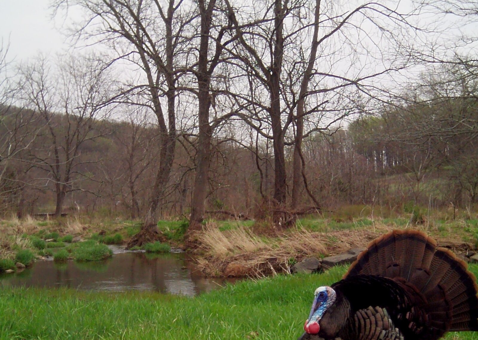 Stover Mill Farm
