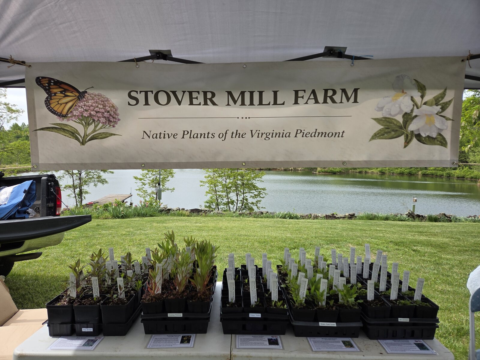 Native plant sale